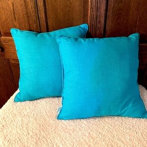 2 indoor/outdoor pillows
